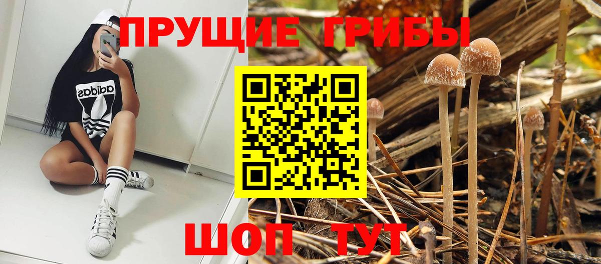 Псилоцибиновые грибы мицелий Пыть-Ях